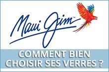 bien choisir verre maui jim