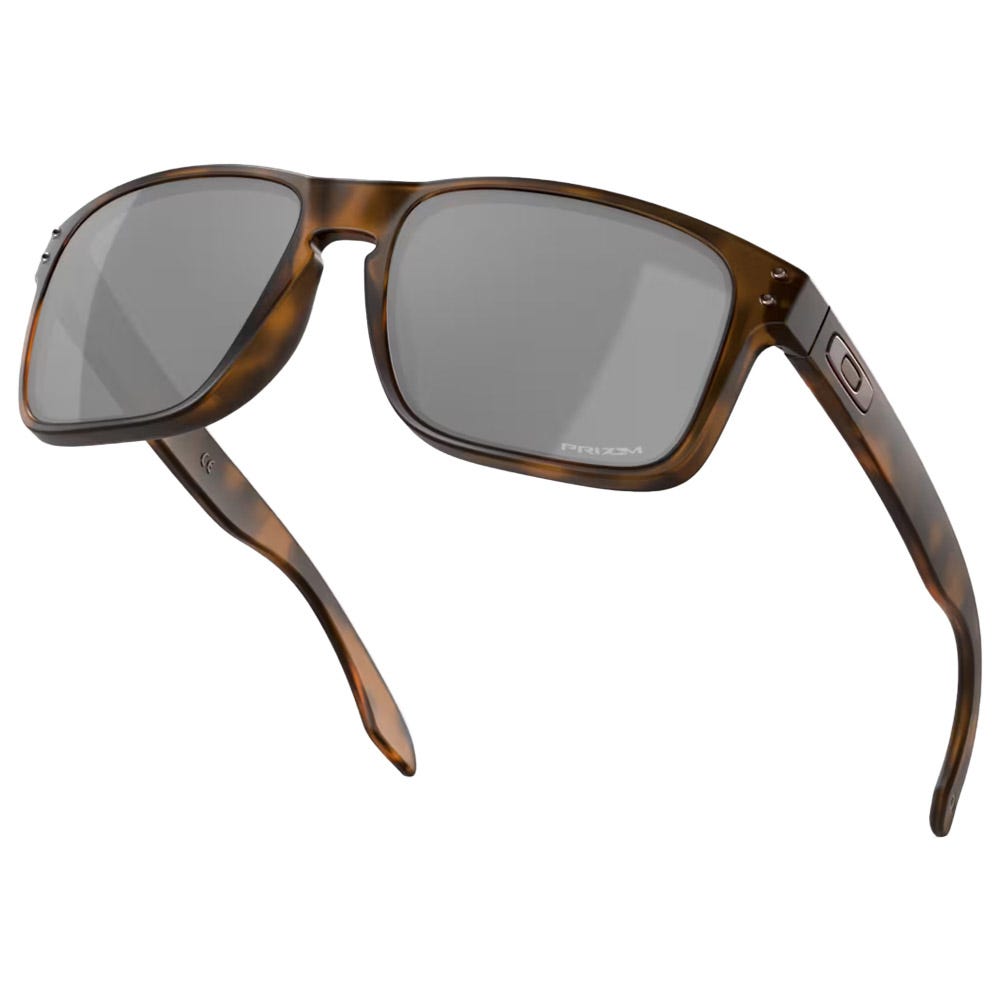 Holbrook Matte Brown Tortoise Prizm Black