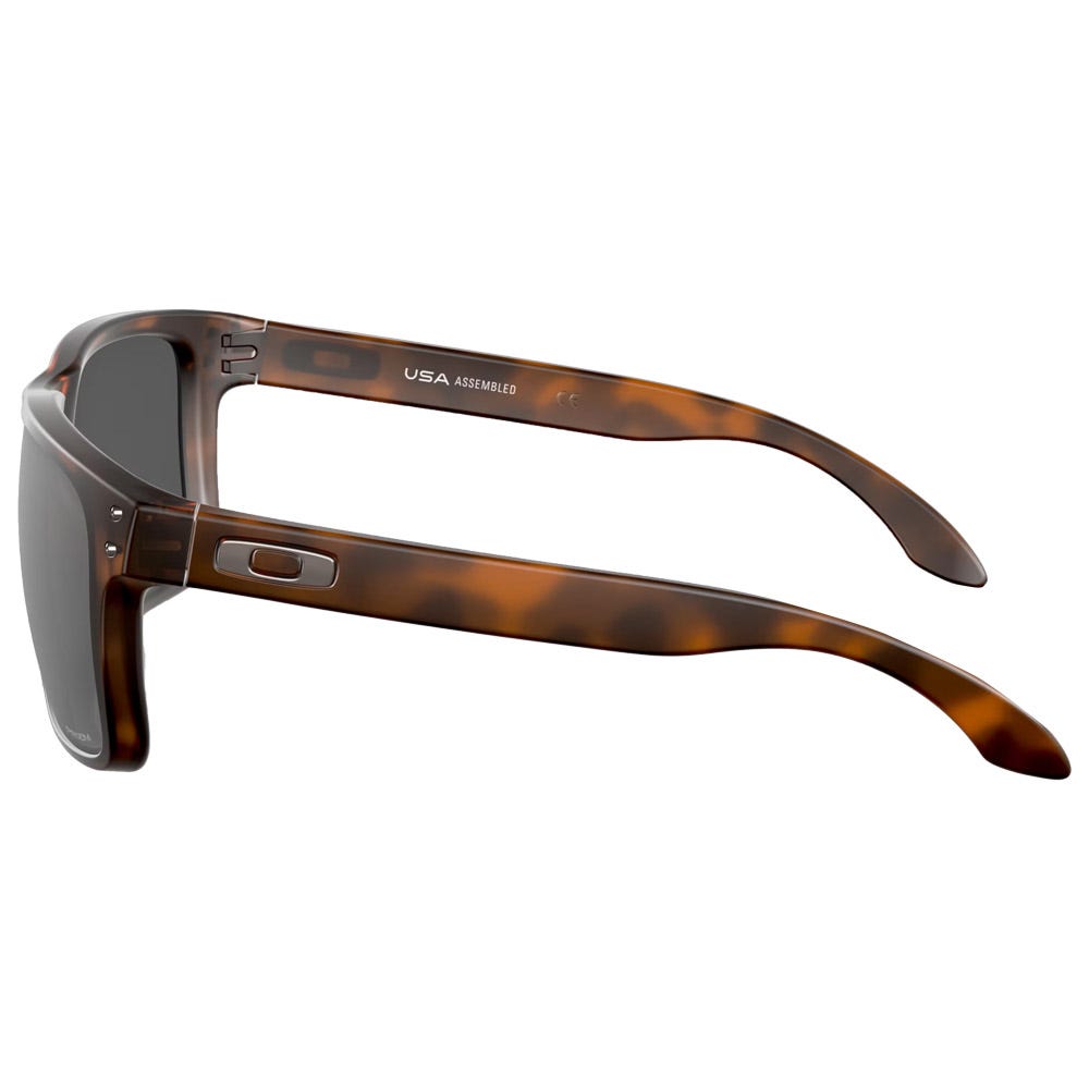 Holbrook XL Matte Brown Tortoise Prizm Black