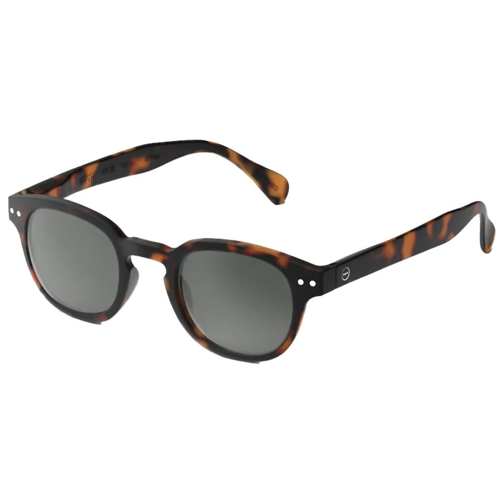 Sun #C Tortoise