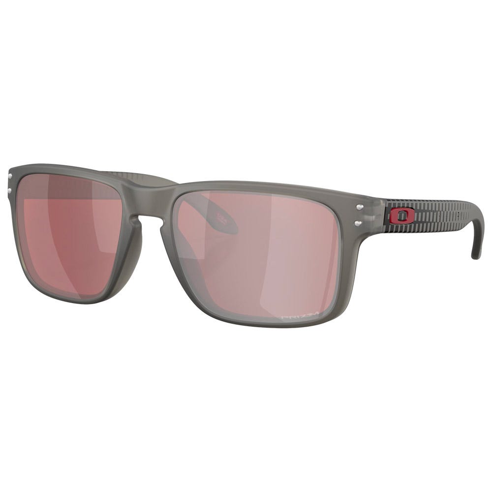 Holbrook Matte Grey Smoke Prizm Snow Black