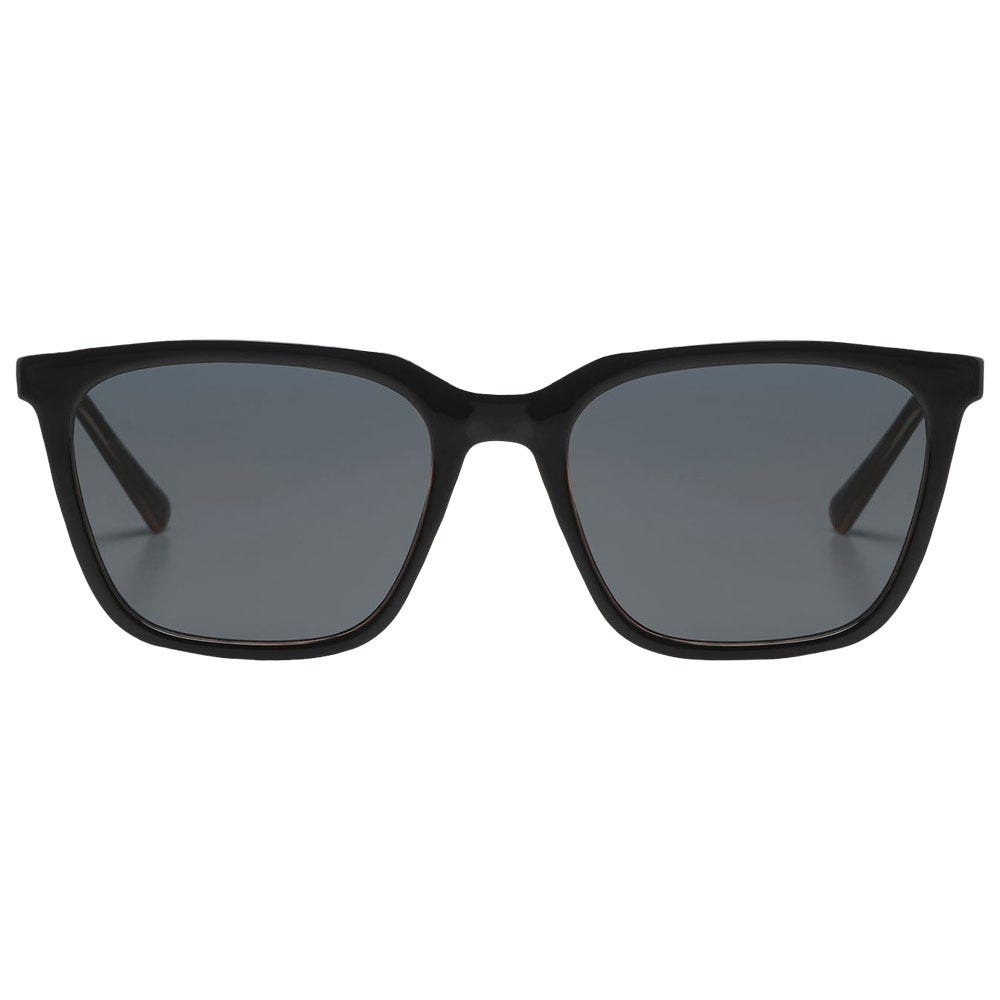 Jay Black Tortoise
