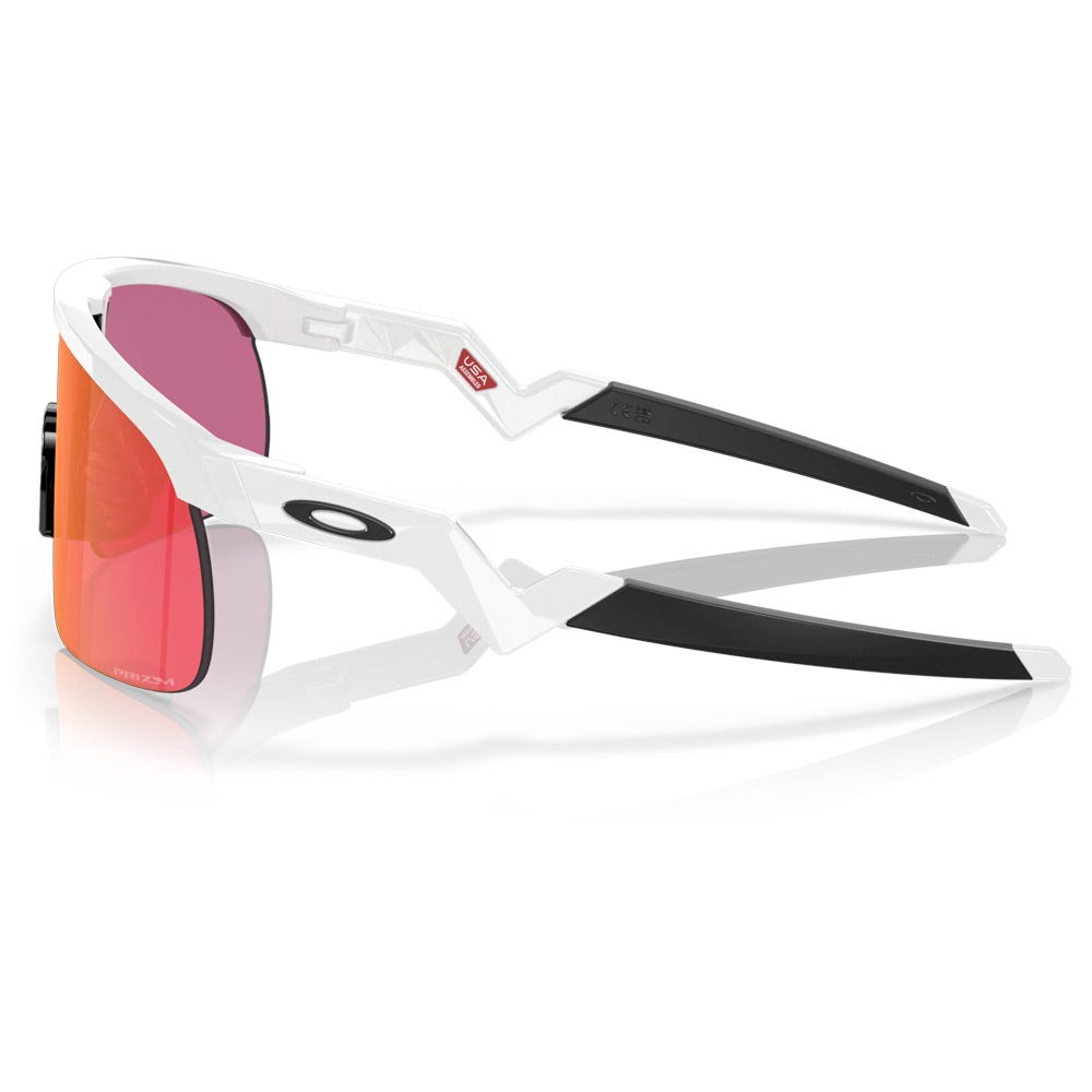Resistor Polished White Prizm Field