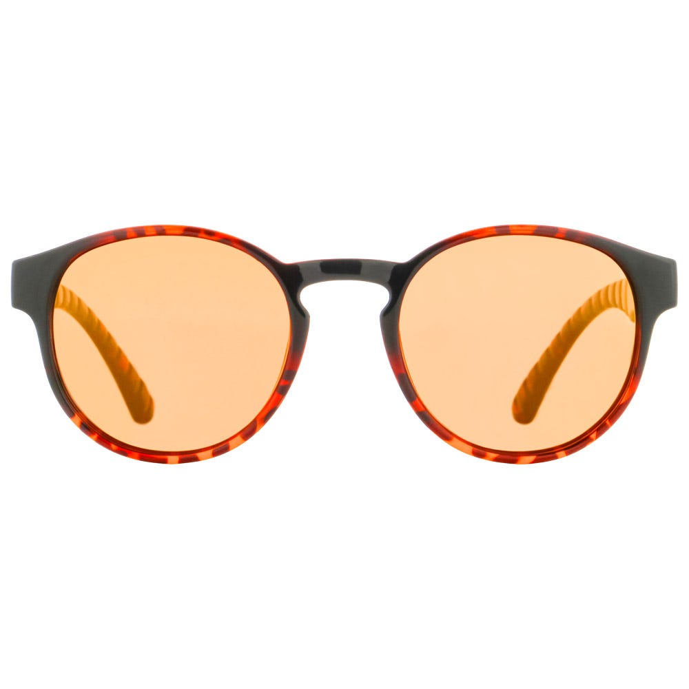 Eden Shiny Havana Brown Bronze Mirror Polarized