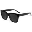 Songbirds Piano Black
