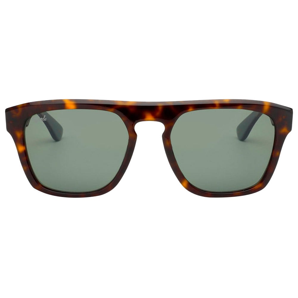 Stefano Shiny Tortoise G15 Polarized