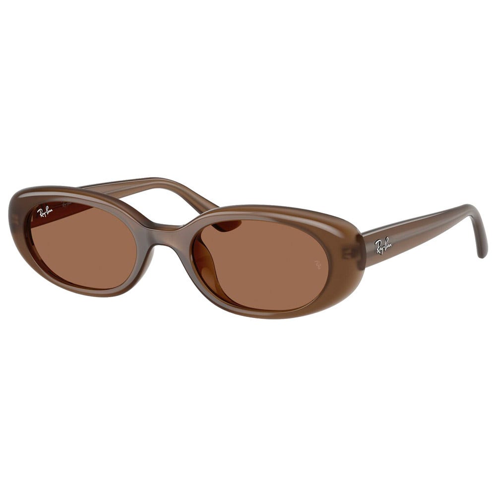 RB4441D Matte Brown Opaline Dark Brown