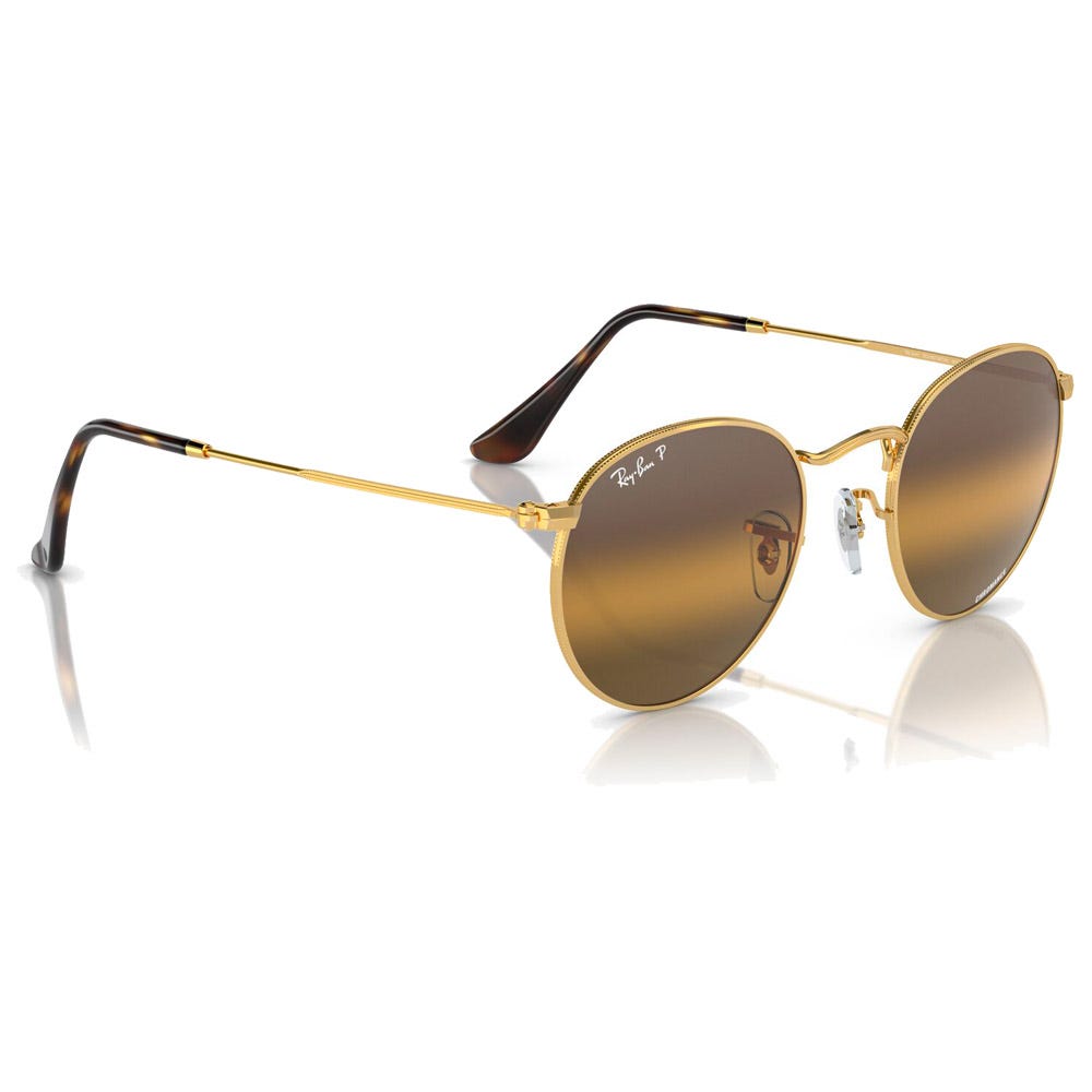RB3447 Round Metal Polished Gold Chromance Silver Brown Polar