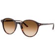 RB2230 Bernard Polished Havana Incolore Brown Gradient