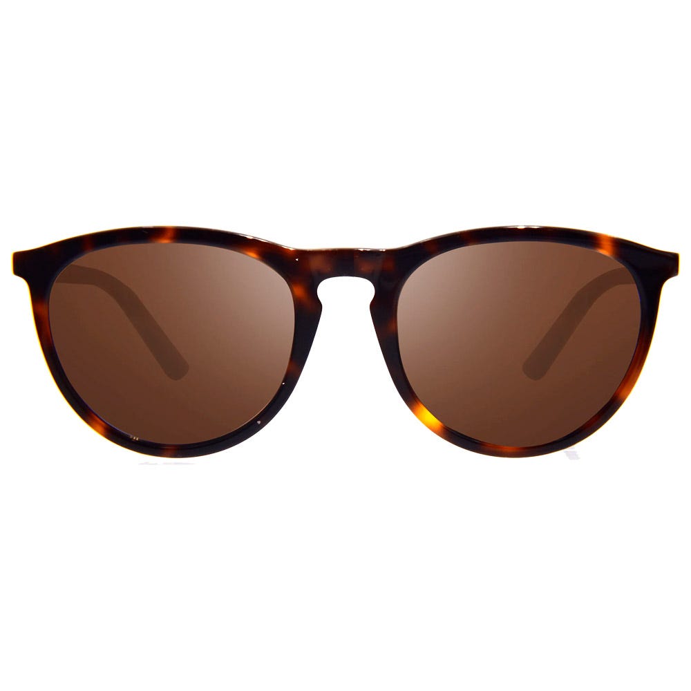 Sage Tortoise Serilium+ Terra Polarized