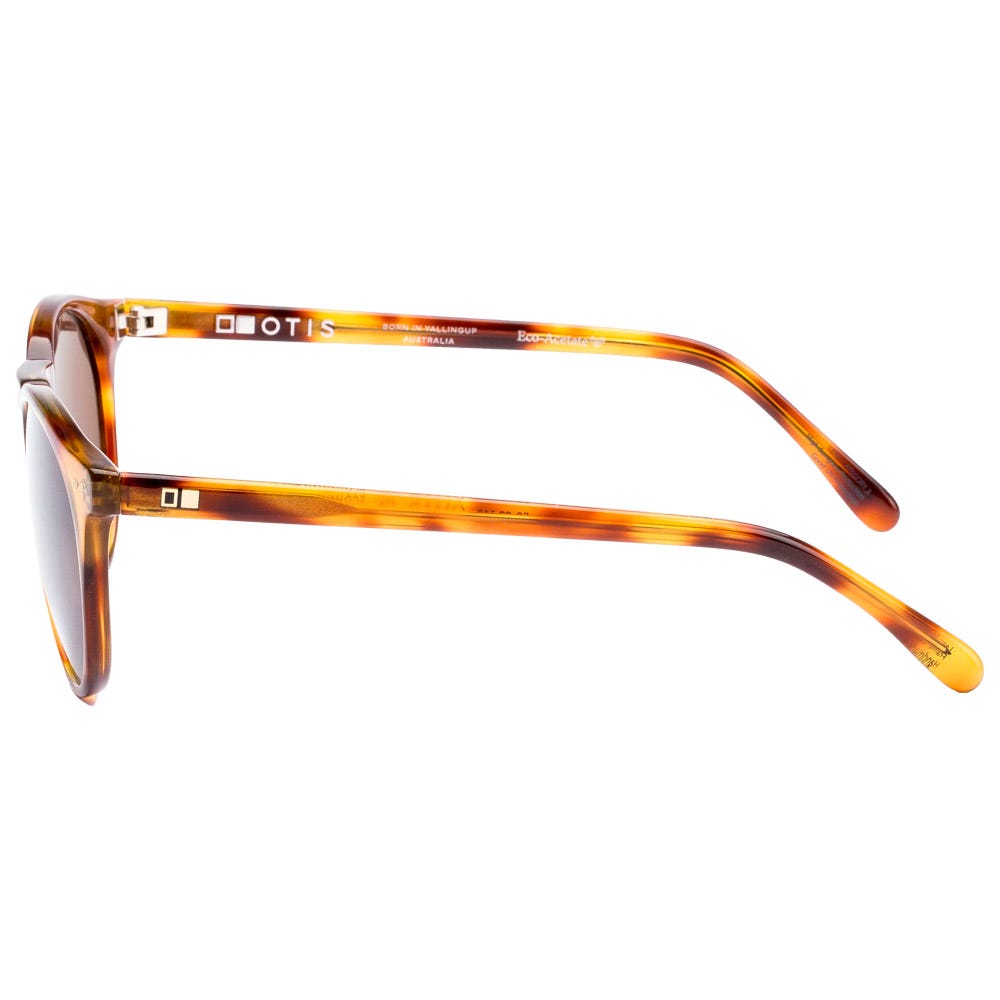 Omar Eco Havana Zinnia L.I.T Brown Polar