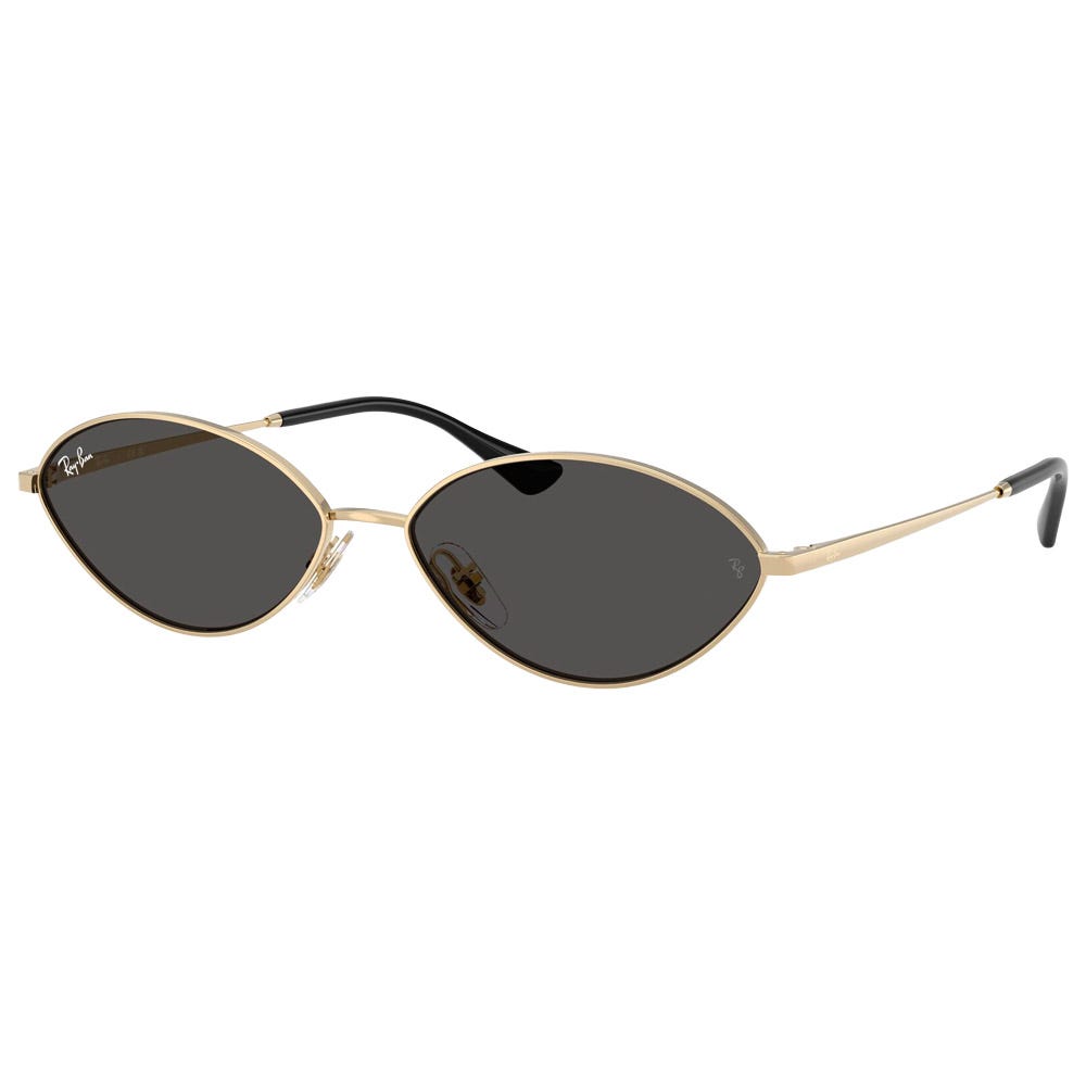RB3757 Kai Polished Gold Dark Grey