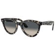 RB2241 Wayfarer Way Polished Grey Havana Grey