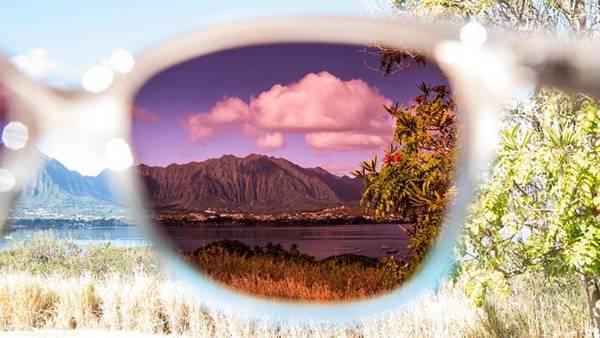 Verre Maui Jim avec protection anti-UV