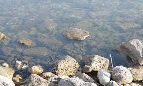 Scène vue sans verre polarisé, avec reflets sur la surface de l’eau